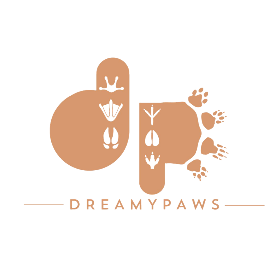 DreamyPaws